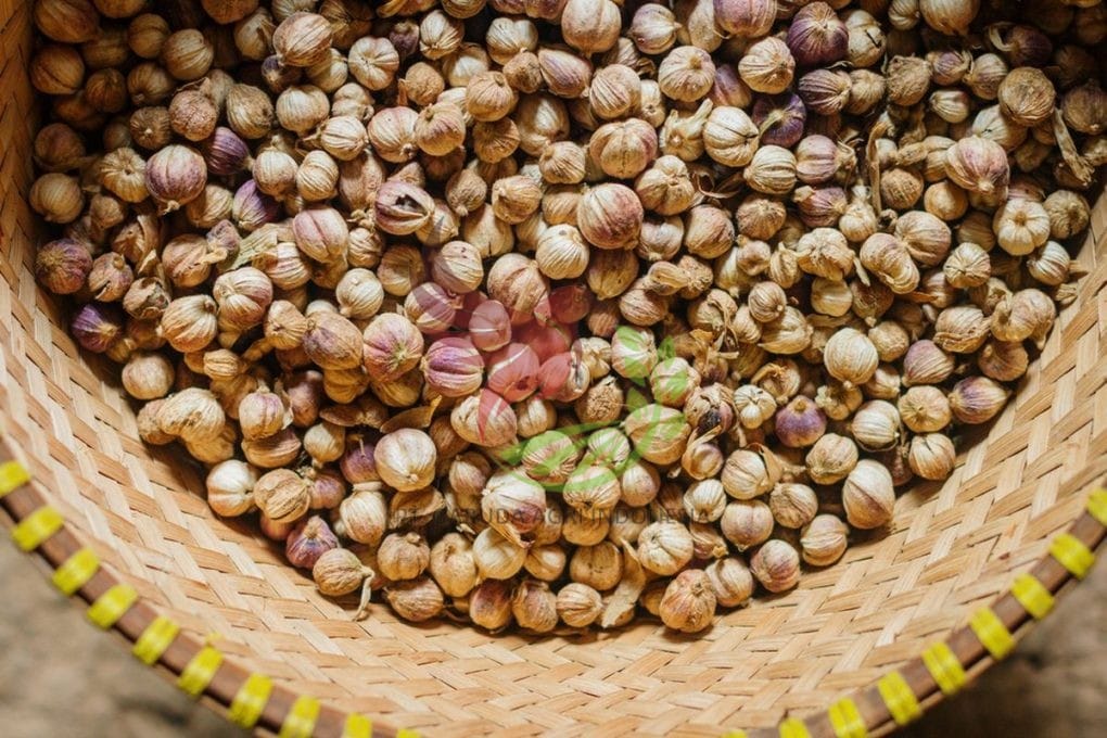 Cardamom - Image 4